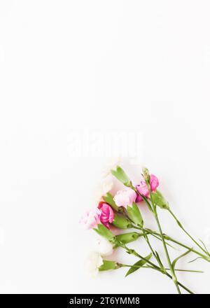 Pink Carnations And Yellow Daisy Flowers On White Stock Photo - Download  Image Now - Lily, Flower, Cut Out - iStock