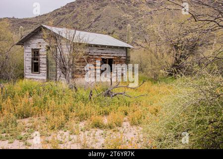 Historic Bates Ranch buildings and fence in Sonoran Desert, Organ Pipe ...
