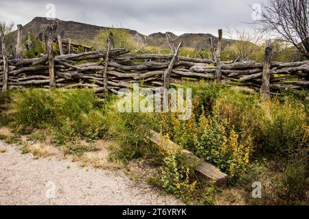 Historic Bates Ranch buildings and fence in Sonoran Desert, Organ Pipe ...