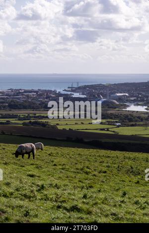 View of Newhaven and the Ouse river on an autumn cloudy day, East Sussex, England Stock Photo