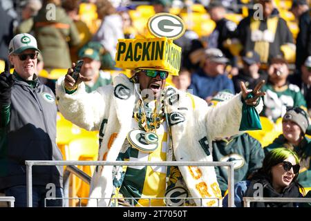 Pittsburgh, Pennsylvania, USA. November 12, 2023, Pittsburgh, Pennsylvania, USA: Nov. 12, 2023: Pakcersâ€™ Fan during the Pittsburgh Steelers vs Green Bay Packers game in Pittsburgh PA at Acrisure Stadium. Brook Ward/AMG (Credit Image: © AMG/AMG via ZUMA Press Wire) EDITORIAL USAGE ONLY! Not for Commercial USAGE! Credit: ZUMA Press, Inc./Alamy Live News Stock Photo