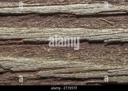 Dark wood background with worn weathered texture. Strong horizontal lines. Stock Photo
