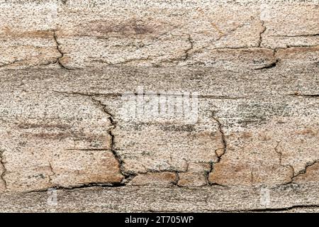 Closeup wood background with worn weathered texture. Stock Photo