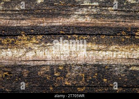 Wood background with worn weathered texture. Stock Photo