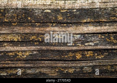 Wood background with worn weathered texture. Stock Photo