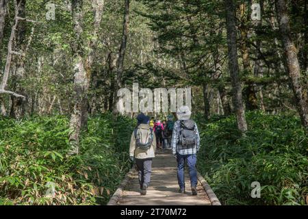 Tourists walking in the mountain forest walkway in Kamikochi Stock Photo