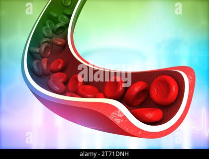 Red blood cells flowing through vein. 3d illustration Stock Photo