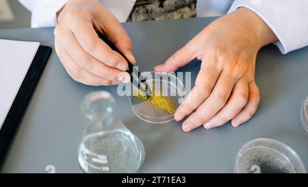 Female chemist technician hands with tweezers examining golden glitter sample over petri dish on lab Stock Photo