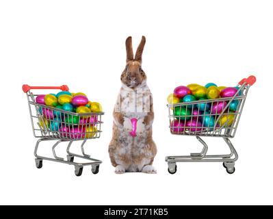 easter bunny standing with basket filled with candy easter eggs isolated on white background Stock Photo