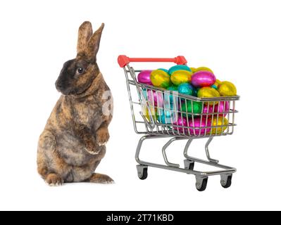 easter bunny standing with basket filled with candy easter eggs isolated on white background Stock Photo