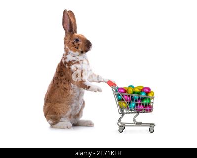 shopping trolley filled with multi-colored chocolates in the form of easter eggs isolated on white background Stock Photo