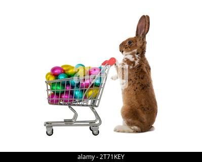 easter bunny standing with basket filled with candy easter eggs isolated on white background Stock Photo