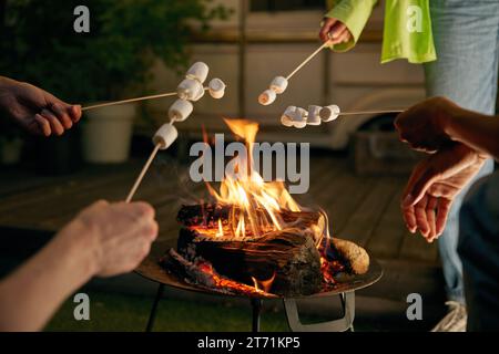 Closeup roasted marshmallows on skewers over open camping bonfire Stock Photo