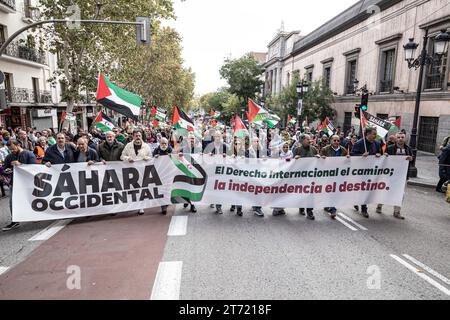Madrid, Spain. 11th Nov, 2023. Protesters march with flags and a banner expressing their opinion during the demonstration. A massive demonstration led by the State Coordinator of Associations in Solidarity with the Sahara (CEAS-Sahara) tours Madrid to demand the self-determination of the Sahara. (Photo by Jorge Contreras Soto/SOPA Images/Sipa USA) Credit: Sipa USA/Alamy Live News Stock Photo