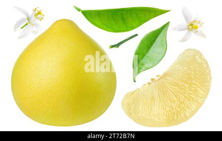 Pummelo whole fruit, peeled segment, leaves and blossoms isolated on white collection Stock Photo