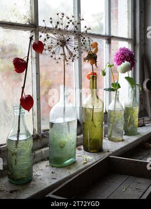 The potting shed with flowers in bottles on the window sill Stock Photo