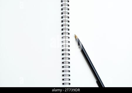 Directly above view of office desk table with pen and notepad. Flat lay. Copy space. Stock Photo