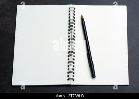 Directly above view of office desk table with pen and notepad. Flat lay. Copy space. Stock Photo