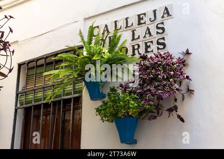 Calleja de las Flores, sign with the name of the famous street in ceramic tiles. Stock Photo