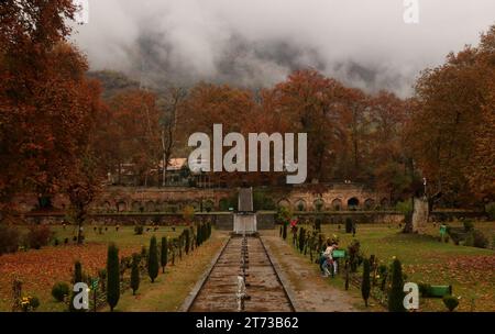 Srinagar, India. 10th Nov, 2023. November 10, 2023, Srinagar Kashmir, India : A view of the Mughal Garden covered with fallen leaves of mighty Chinar trees as people visit in Nishat at Srinagar. Autumn colors are reaching their peak with trees, particularly Chinar, changing their colors as the days are becoming shorter. On November 10, 2023, Srinagar Kashmir, India. (Photo By Firdous Nazir/Eyepix Group/Sipa USA) Credit: Sipa USA/Alamy Live News Stock Photo