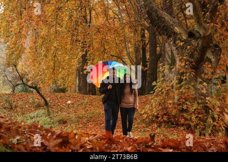 Srinagar, India. 10th Nov, 2023. November 10, 2023, Srinagar Kashmir, India : Visitors walk at the Mughal Garden covered with fallen leaves of mighty Chinar trees in Nishat at Srinagar. Autumn colors are reaching their peak with trees, particularly Chinar, changing their colors as the days are becoming shorter. On November 10, 2023, Srinagar Kashmir, India. (Photo By Firdous Nazir/Eyepix Group/Sipa USA) Credit: Sipa USA/Alamy Live News Stock Photo