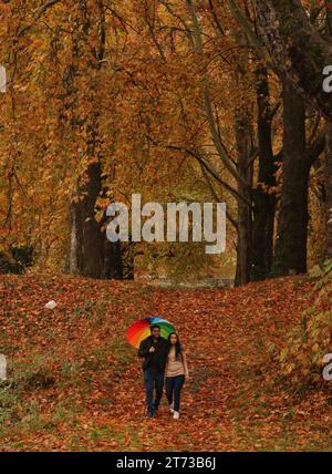 Srinagar, India. 10th Nov, 2023. November 10, 2023, Srinagar Kashmir, India : Visitors walk at the Mughal Garden covered with fallen leaves of mighty Chinar trees in Nishat at Srinagar. Autumn colors are reaching their peak with trees, particularly Chinar, changing their colors as the days are becoming shorter. On November 10, 2023, Srinagar Kashmir, India. (Photo By Firdous Nazir/Eyepix Group/Sipa USA) Credit: Sipa USA/Alamy Live News Stock Photo