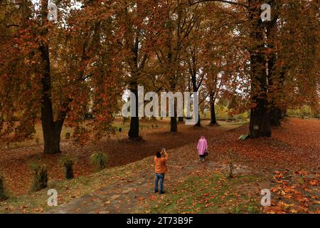 Srinagar, India. 10th Nov, 2023. November 10, 2023, Srinagar Kashmir, India : Visitors take photos at the Mughal Garden covered with fallen leaves of mighty Chinar trees in Nishat at Srinagar. Autumn colors are reaching their peak with trees, particularly Chinar, changing their colors as the days are becoming shorter. On November 10, 2023, Srinagar Kashmir, India. (Photo By Firdous Nazir/Eyepix Group/Sipa USA) Credit: Sipa USA/Alamy Live News Stock Photo