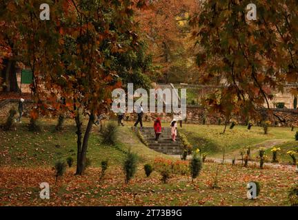 Srinagar, India. 10th Nov, 2023. November 10, 2023, Srinagar Kashmir, India : Visitors walk at the Mughal Garden covered with fallen leaves of mighty Chinar trees in Nishat at Srinagar. Autumn colors are reaching their peak with trees, particularly Chinar, changing their colors as the days are becoming shorter. On November 10, 2023, Srinagar Kashmir, India. (Photo By Firdous Nazir/Eyepix Group/Sipa USA) Credit: Sipa USA/Alamy Live News Stock Photo