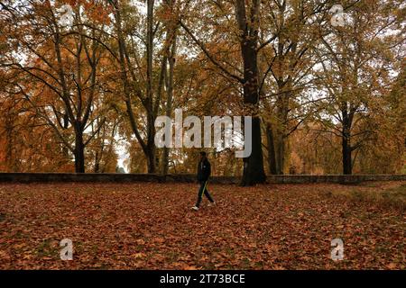 Srinagar, India. 10th Nov, 2023. November 10, 2023, Srinagar Kashmir, India : A Visitor walks at the Mughal Garden covered with fallen leaves of mighty Chinar trees in Nishat at Srinagar. Autumn colors are reaching their peak with trees, particularly Chinar, changing their colors as the days are becoming shorter. On November 10, 2023, Srinagar Kashmir, India. (Photo By Firdous Nazir/Eyepix Group/Sipa USA) Credit: Sipa USA/Alamy Live News Stock Photo