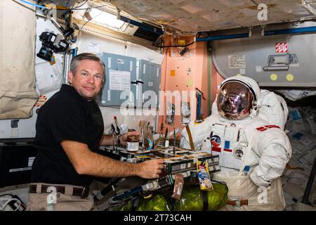 ISS - 07 November 2023 - Danish ESA (European Space Agency) astronaut and Expedition 70 Commander Andreas Mogensen poses for a playful portrait with a Stock Photo