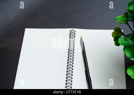 Directly above view of office desk table with pen, notepad and plant. Flat lay. Copy space. Stock Photo