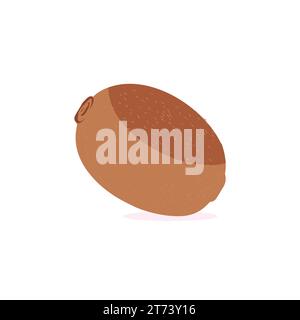 Kiwi Fruit Icon Set Vector Design. Ripe whole kiwi fruit and half kiwi fruit isolated on white background. Chinese gooseberry half cross section Stock Vector