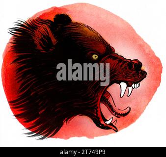 Angry grizzly bear. Hand-drawn vintage styled ink and watercolor illustration Stock Photo