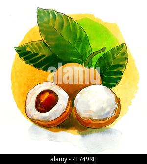 Watercolor hand drawn tropical fruit Stock Photo - Alamy
