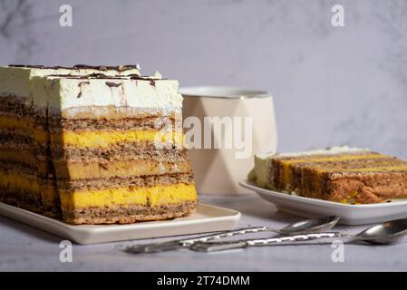 Homemade almond cake, with different vanilla and cocoa fillings, decorated with whipped cream. On a light gray background, close up Stock Photo