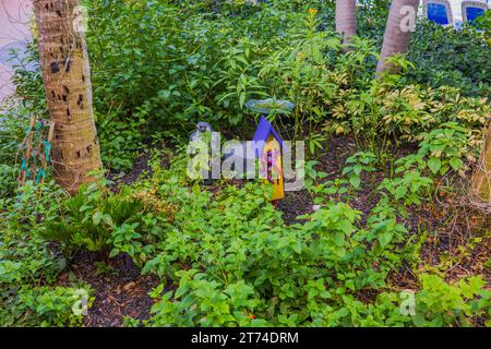 View of tropical garden with wooden butterflies house within hotel grounds. Miami Beach. USA. Stock Photo