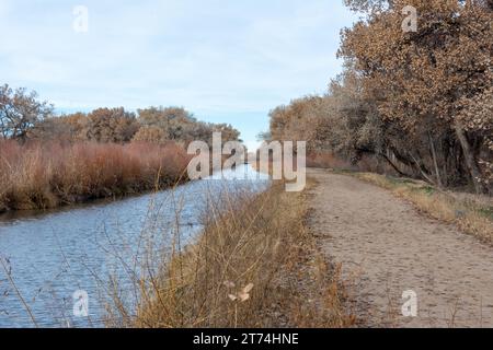 A dirt road runs parallel to an irrigation ditch through the forested countryside on a sunny winter day. Stock Photo