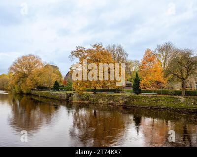 Tittybottle Park in autumn along the banks of the River Wharfe in Otley Stock Photo