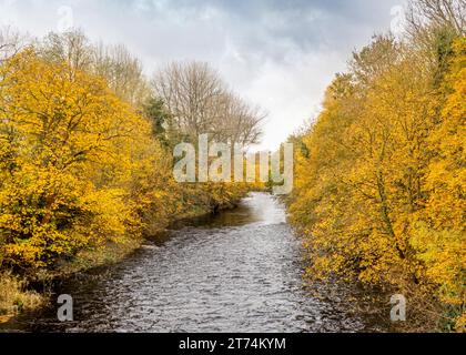 The River Wharfe meanders through Otley, flanked by trees adorned with vibrant golden foliage. UK Stock Photo