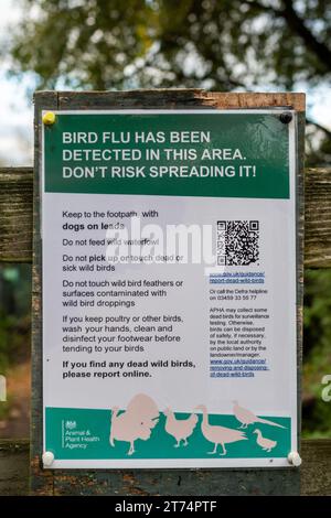 Sign or notice about avian influenza stating Bird flu has been detected in this area, England, UK Stock Photo