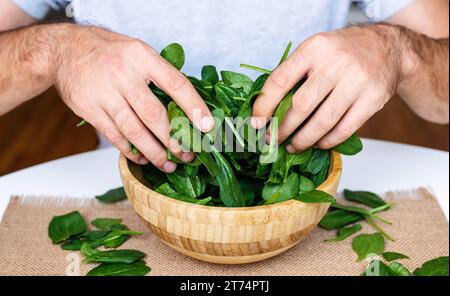 Spinach in male hands. Bowl green spinach. Stock Photo
