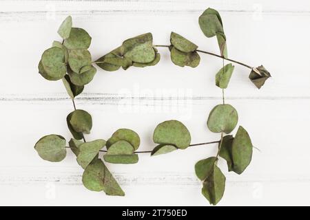 Frame made with dry leaves white wooden backdrop Stock Photo