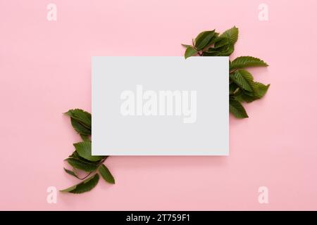 Creative layout made green leaves with paper card pink background Stock Photo