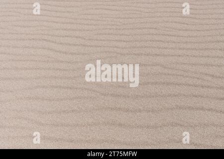 Close up of desert sand with a rippling wave pattern that stretches horizontally across the image. Stock Photo