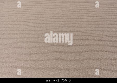 Close up of desert sand with a rippling wave pattern that stretches horizontally across the image. Stock Photo