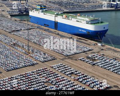 YANTAI, CHINA - NOVEMBER 13, 2023 - A large number of Chinese-made cars are gathered at Yantai Port to be loaded for export in Yantai City, Shandong P Stock Photo