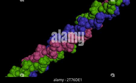 Collagen protein molecule. Molecular model. 3D rendering. Illustration Stock Photo