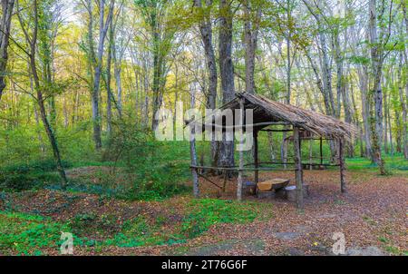 Gazebo and table, chairs from tree trunks in the forest. Picnic area Stock Photo