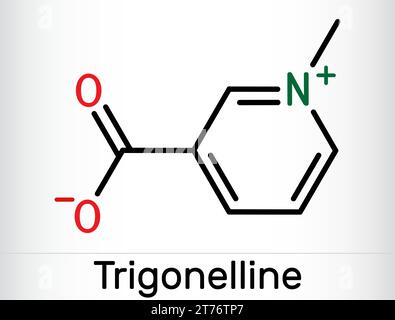 Trigonelline plant alkaloid molecule. It is methylation product of niacin vitamin B3, methylated niacin. Skeletal chemical formula. Vector illustratio Stock Vector