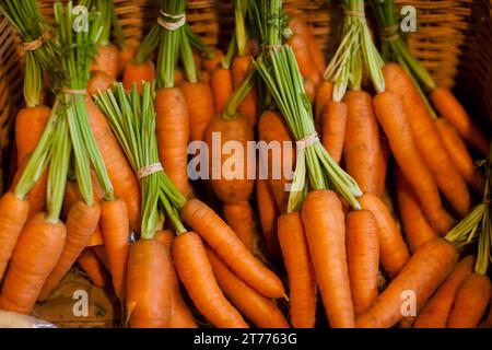 Close up of a basket filled with trimmed bunches of carrots Stock Photo